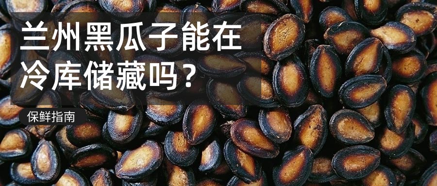 蘭州黑瓜冷庫儲藏