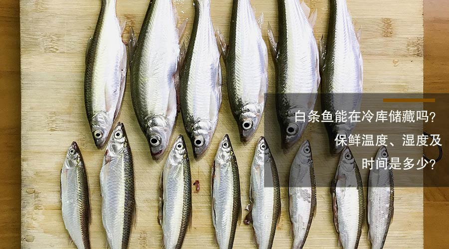 白條魚冷庫儲藏溫度、相對濕度及時間介紹