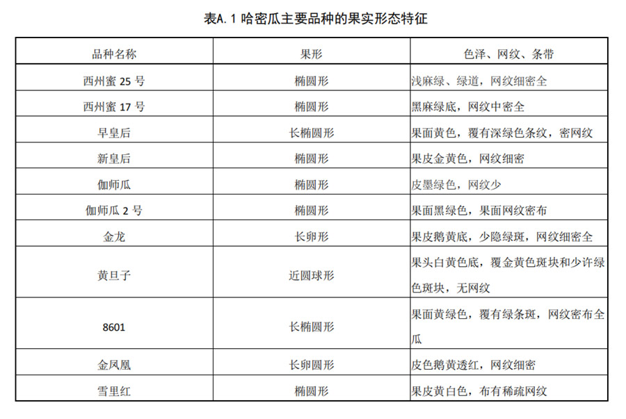 哈密瓜主要品種果實形態特征