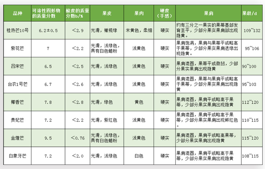 采收不同品種芒果標(biāo)準(zhǔn)判斷