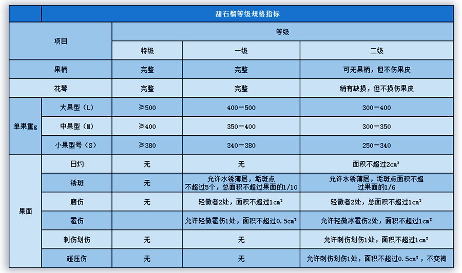 石榴入冷庫庫前的分級工作