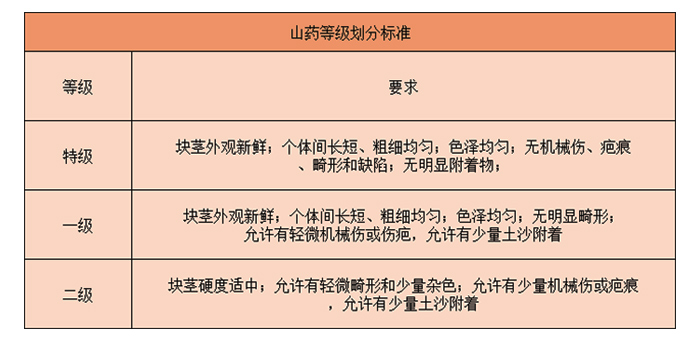 山藥入冷庫前的分級標準