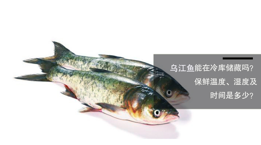 烏江魚(yú)放冷庫(kù)保鮮溫度、相對(duì)濕度和時(shí)間介紹