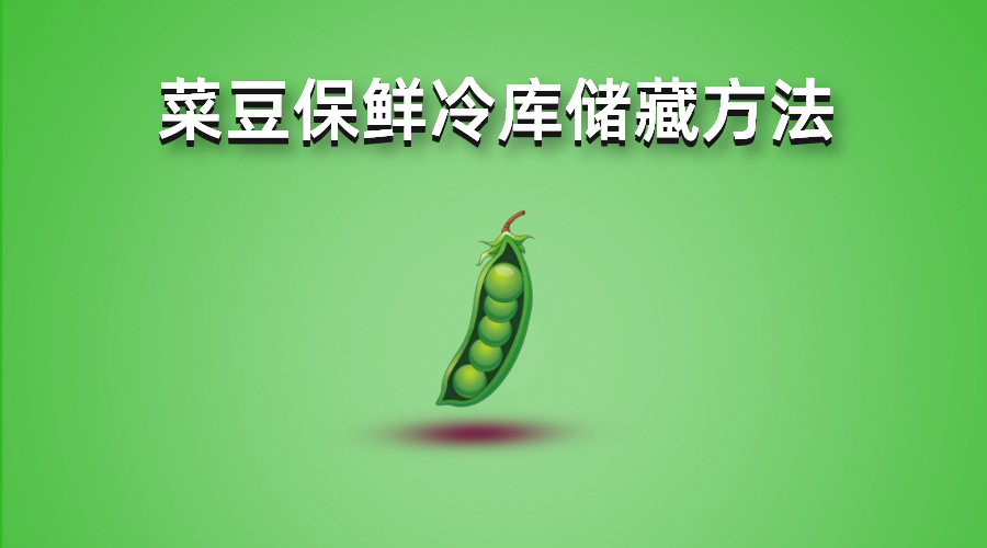 四季豆（菜豆）保鮮（氣調(diào)）冷庫(kù)儲(chǔ)藏方法詳解