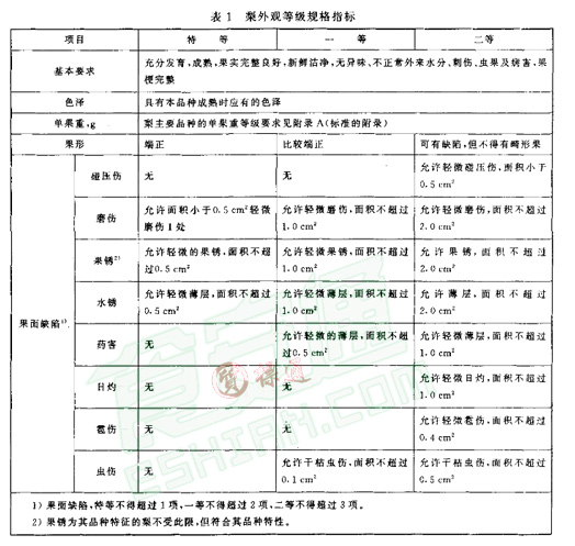 雪梨放冷庫前標準