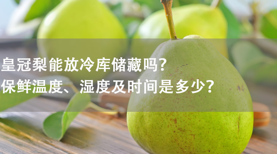 皇冠梨能在冷庫儲藏嗎？保鮮溫度、濕度及時間是多少？