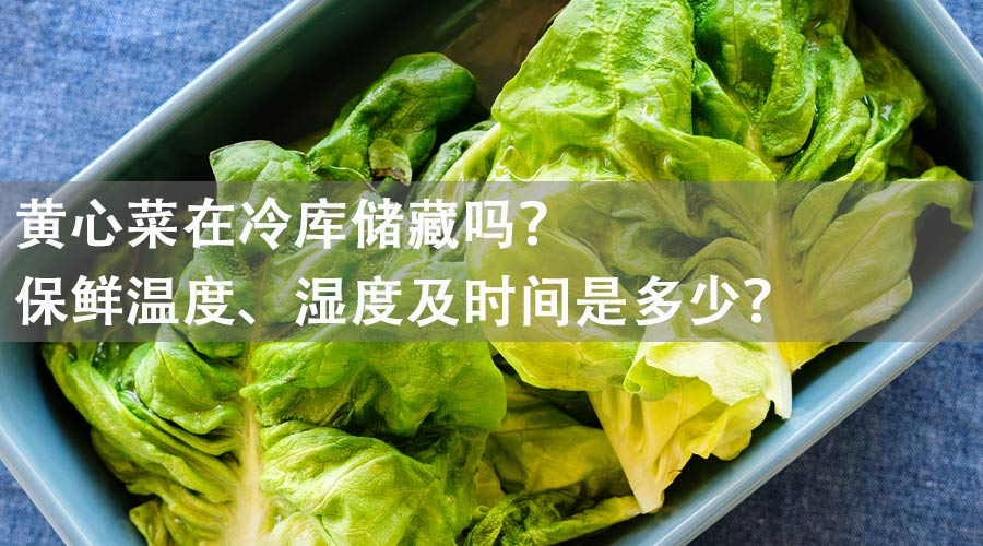 黃心菜能在冷庫儲(chǔ)藏嗎？保鮮溫度、濕度及時(shí)間是多少？