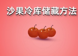 沙果（花紅）冷庫存儲(chǔ)方法詳解，保鮮時(shí)間6個(gè)月！