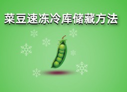 四季豆（菜豆）速凍冷庫儲藏方法詳解，保鮮時間1年不變質！